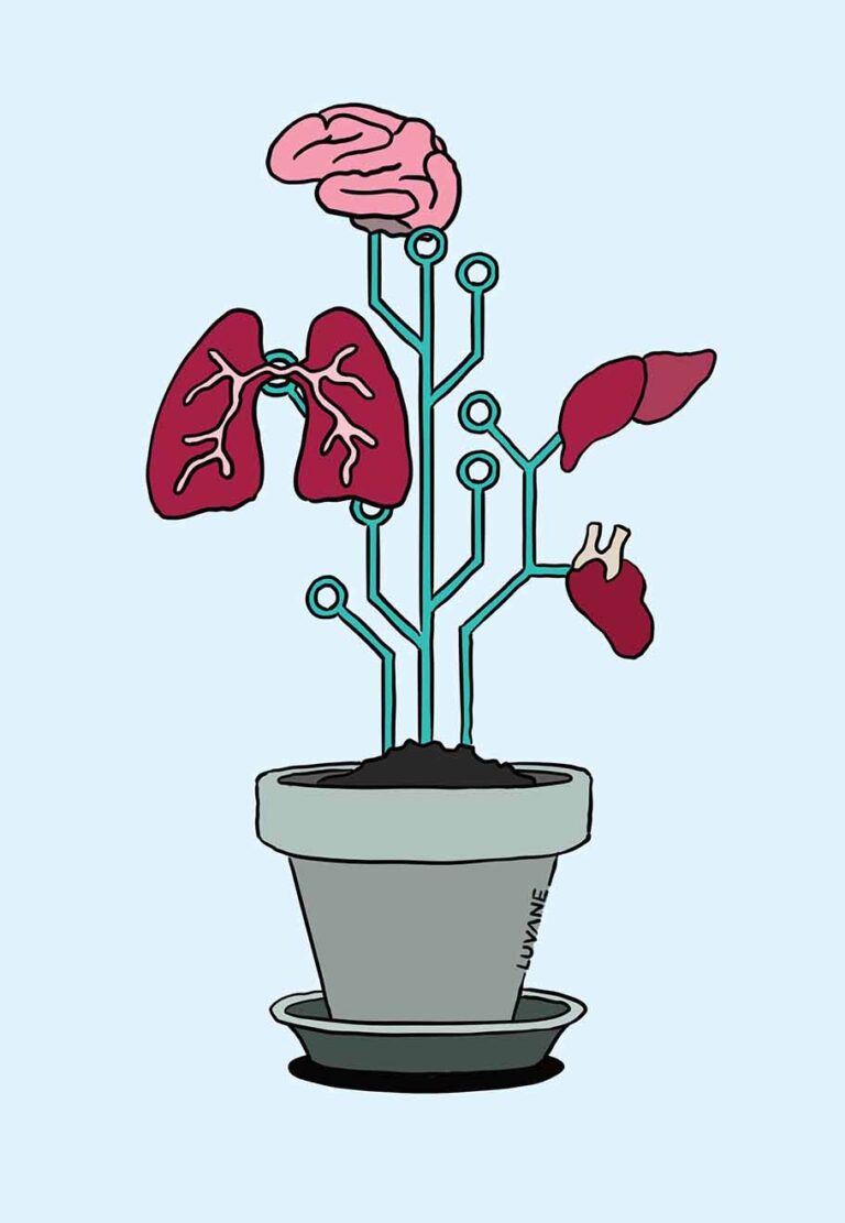 LUVANE - Organs-on-chips